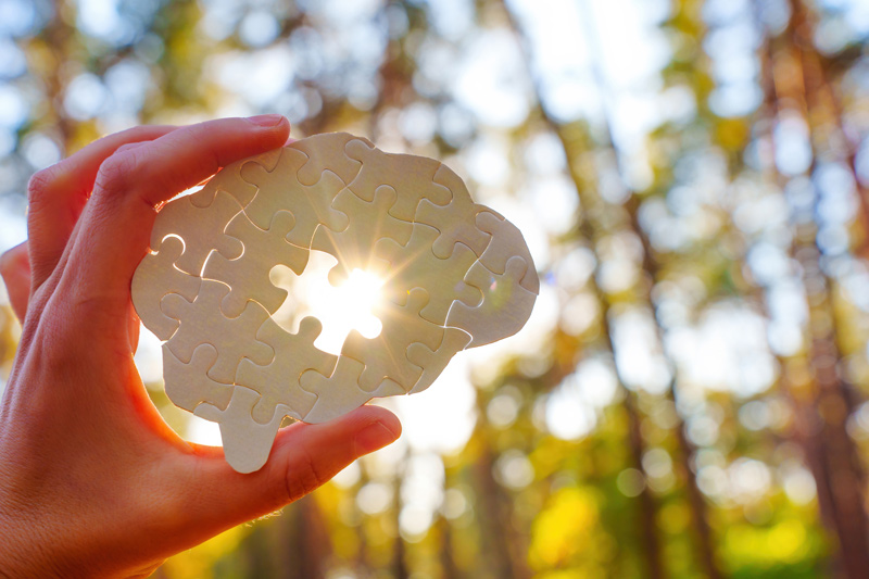 A hand holds a brain-shaped puzzle with a missing piece, allowing sunlight to shine through, symbolizing healing and mental clarity through EMDR therapy. The background features a blurred forest with warm sunlight, representing growth, recovery, and the power of therapeutic techniques in trauma healing.