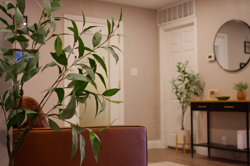 A-modern-waiting-area-at-lighthouse-trauma-therapy,-featuring-a-brown-leather-couch,-indoor-plants,-a-round-mirror,-a-black-console-table,-and-a-white-door,-creating-a-calm-and-welcoming-space.